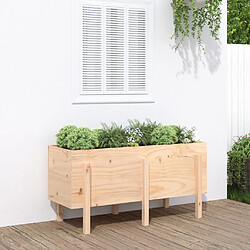 Maison Chic Jardinière,Lit surélevé de jardin - Bac à fleurs - pot de fleur 121x50x57 cm bois de pin massif -GKD58992