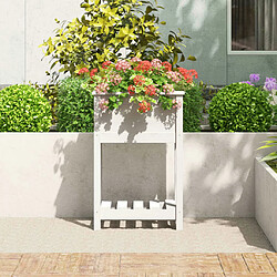 Avis Maison Chic Jardinière,Bac à fleurs - pot de fleur avec étagère Blanc 54x34,5x81 cm Bois massif de pin -GKD93186