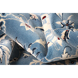 Acheter Hadorn Tapis 244x152 bleu clair Classical