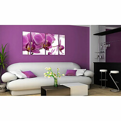 Paris Prix Tableau Imprimé Marvelous Orchid 30 x 60 cm