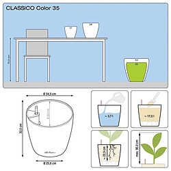 Classico Color 35 - kit complet, muscade Ø 35 X 33