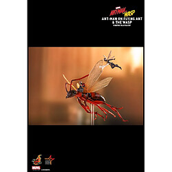 Avis Hot Toys MMSC004 - Marvel Comics - Ant-Man And The Wasp - Ant-Man On Flying Ant & The Wasp