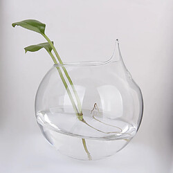 vase en verre transparent pas cher