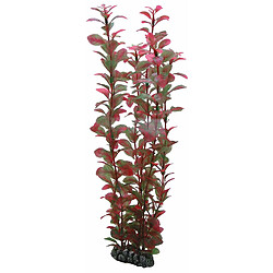 Avis Hobby Ludwigia Plante d'Aquarium Artificielle 34 cm