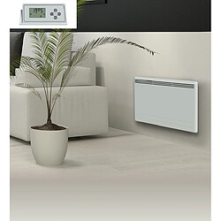 Acheter Carrera Radiateur Électrique LCD Fonte + Film Blanc 1500W SUVA