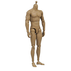 Acheter Jouet Articulé De Poupée Articulée Par Corps Masculin De Figure D'action D'épaule étroite Pour TTM18 / TTM19 + Slip