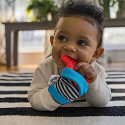 Tommee Tippee BABY EINSTEIN chilly mitt? universal teether mitten