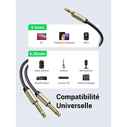 Avis Ugreen - câble audio câble mini jack 3.5 mm - 2 x jack 6.35 mm 1m gris (AV126)