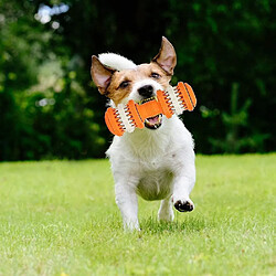 Jouets pour Chiens Haltères Jouets pour Chiens Jouets à Mâcher pour Chiens En Silicone Jouets d'entraînement Interactifs pour Animaux de Compagnie Voiture Dentaire