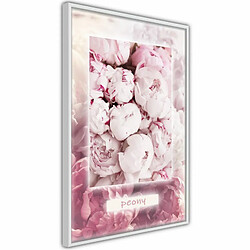 Paris Prix Affiche Murale Encadrée Scent of Peonies 20 x 30 cm Blanc