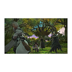 Acheter Square Enix FINAL FANTASY XIV Complete Edition Jeu PS4