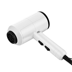 Universal 1500W Professionnel Portable Mini Sèche-cheveux Sèche-cheveux Brossette Professionnelle Sèche-cheveux Sèche-cheveux Voyage | Sèche-cheveux (Blanc) pas cher