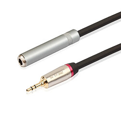 Acheter Wewoo Adaptateur Câble audio TC128MF mâle de Jack 3.5mm vers femelle de 6,5 mmlongueur 30 cm