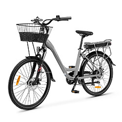 Lancia Ln-bi-220001 Ypsilon E-Bike Incanto Adulte Unisexe, Grigio, 250W