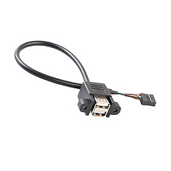 Double USB 2.0 Femêlle À 9 Pins Carte Mère Câble de Connexion Header Corde