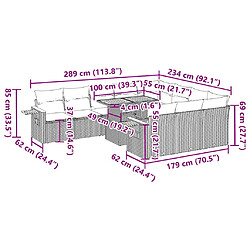 vidaXL Salon de jardin avec coussins 10 pcs gris résine tressée acacia pas cher