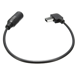 Acheter Wewoo Pour GoPro HERO3 10pin mini USB à 3.5mm micro câble adaptateur