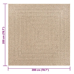 vidaXL Tapis ZIZUR 200x200 cm aspect de jute intérieur et extérieur pas cher