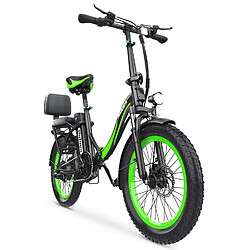 Hidoes HD-C1 Vélo Électrique - Moteur 750W Batterie 48V13AH Pneus de 20 Pouces - Vert