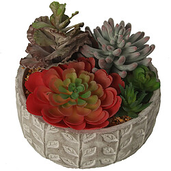 Plante décorative Alexandra House Living Plastique Succulent 20 x 21 x 18 cm