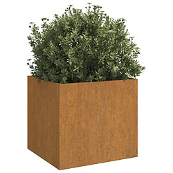 Avis Maison Chic Lot de 2 Jardinières,Bac à fleurs - pot de fleur 42x40x39 cm acier corten -GKD46114