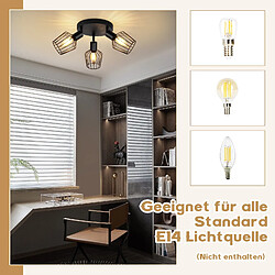 NETTLIFE 3 Spots de Plafond E14 - rond métal, lampe de couloir industrielle pivotante à 350°, applique murale pour couloir et salon,noir