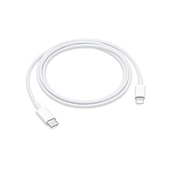 Apple Câble USB vers Lightning 1m - MM0A3ZM/A