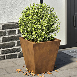 vidaXL Jardinières 2 pcs 30x30x30 cm acier corten