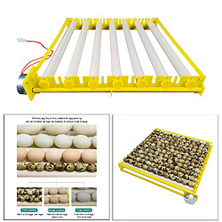 Plateau D'incubateur D'oeufs Rouleau à Oeufs Automatique Domestique Canard Oie Pigeon 13 Tubes pas cher