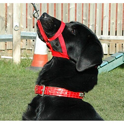 Acheter Halti Licol Educatif Anti-Traction Dressage pour Chien Taille 3 Rouge