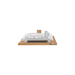 Turntable Wallmount SWE Enova Hifi