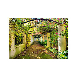 Artgeist Papier peint - Pergola [350x245]