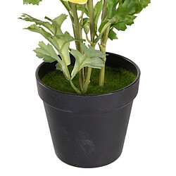 Avis BigBuy Home Plante décorative Polyester Polyéthylène Fer Fleur 12,5 x 12,5 x 37 cm