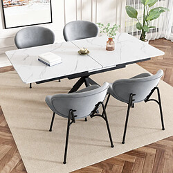 ComfortXL Lot De 4 Fauteuils En Velours Pour Salle À Manger, Luxueux, Gris