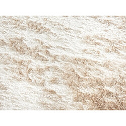 Avis Vente-Unique Tapis shaggy à poils longs ultra doux - 200 x 290 cm - Beige - DOLCE