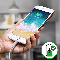 Avizar Nappe + Connecteur de charge iPhone 8 Plus Connectique Lightning pas cher