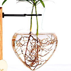 Avis 10pcs Conteneur De Vase à Fleurs En Verre Transparent Avec Support En Bois Vase à Fleurs De