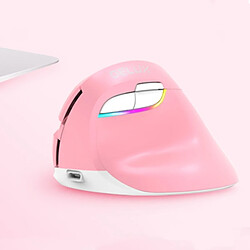 Wewoo Souris sans fil verticale ergonomique rechargeable USB DELUX M618 Mini 2.4G 2400DPI rose