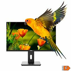 Écran Nilox NXM24REG02 Full HD 24" 75 Hz