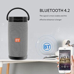 Acheter Yonis Enceinte Bluetooth Portable 3D Stéréo Multifonction Charge Sans Fil