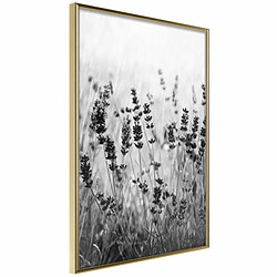 Paris Prix Affiche Murale Encadrée Shadow of Meadow 20 x 30 cm Or