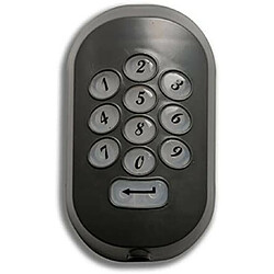 Clavier Radio - DUCATI HOME-AUTOMATION SW6500 - 1 canal, Avec plus de 3 milliards de combinaisons possibles