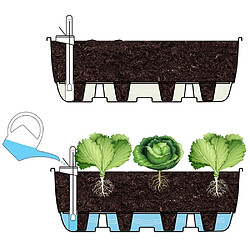 Avis UPYARD Système d'auto-arrosage pour potager.