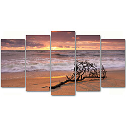 Dekoarte 144 - Tableau moderne sur toile monté sur cadre en bois 5 pièces, nature plage avec branche en bord de mer, 150x80cm