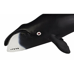 Safari Bowhead Baleine