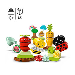 Avis LEGO® Duplo® 10984 Le jardin bio