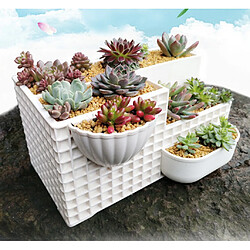 Accueil Jardinière Bureau Pot De Fleur Blanc Rectangulaire Succulent Plant Pot Combo pas cher