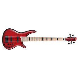 ANB205-TWB Transparent Wine Red Burst + housse Ibanez