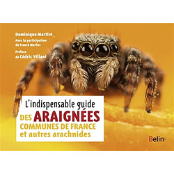 L'indispensable guide des araignées communes de France et autres arachnides