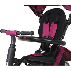 Qplay Tricycle Rito Plus - Violet